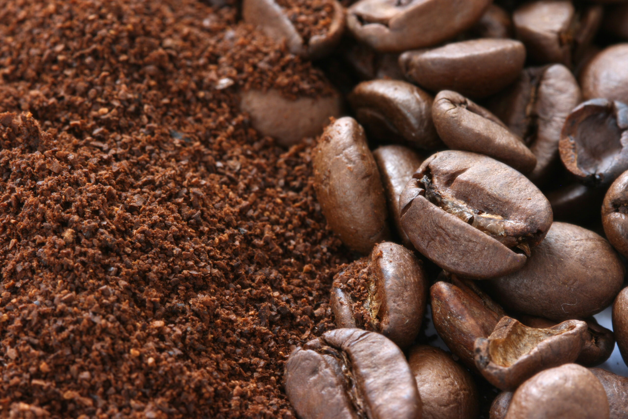 Whole and ground coffee beans on white background