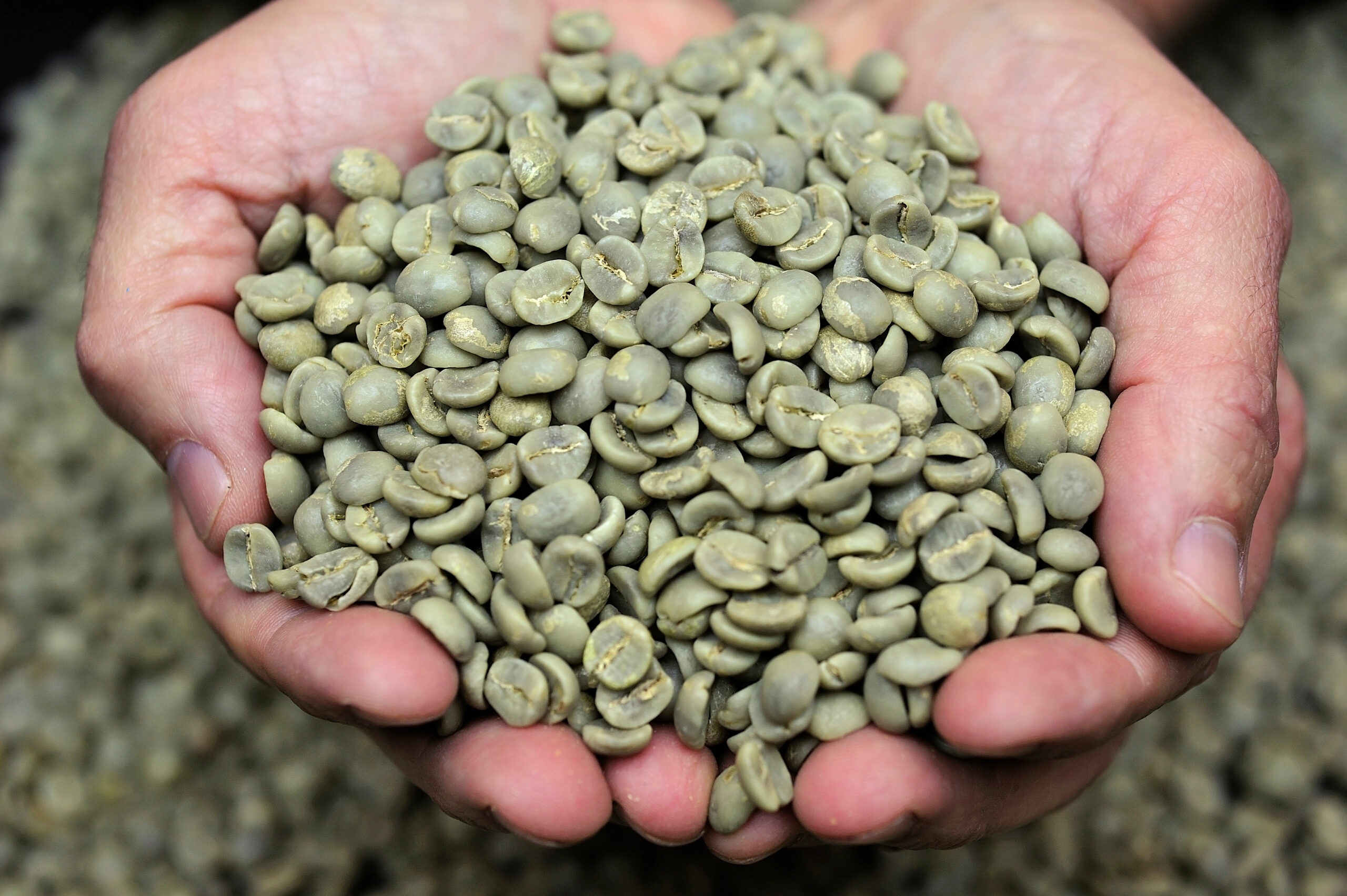 Green Coffee Beans