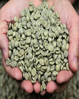 Green Coffee